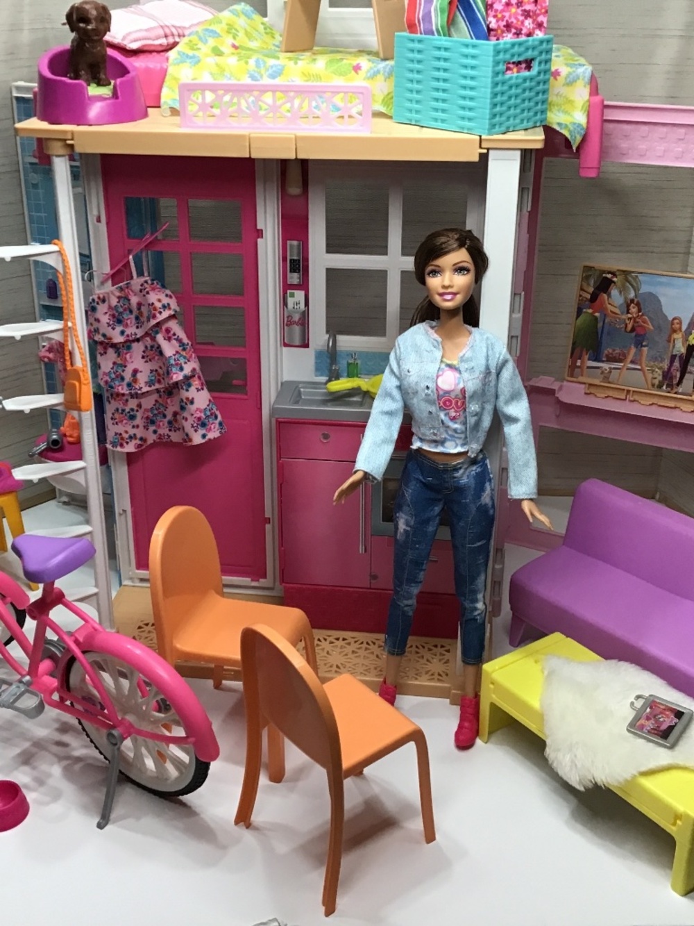 Barbie Doll and Foldable House with Accessories